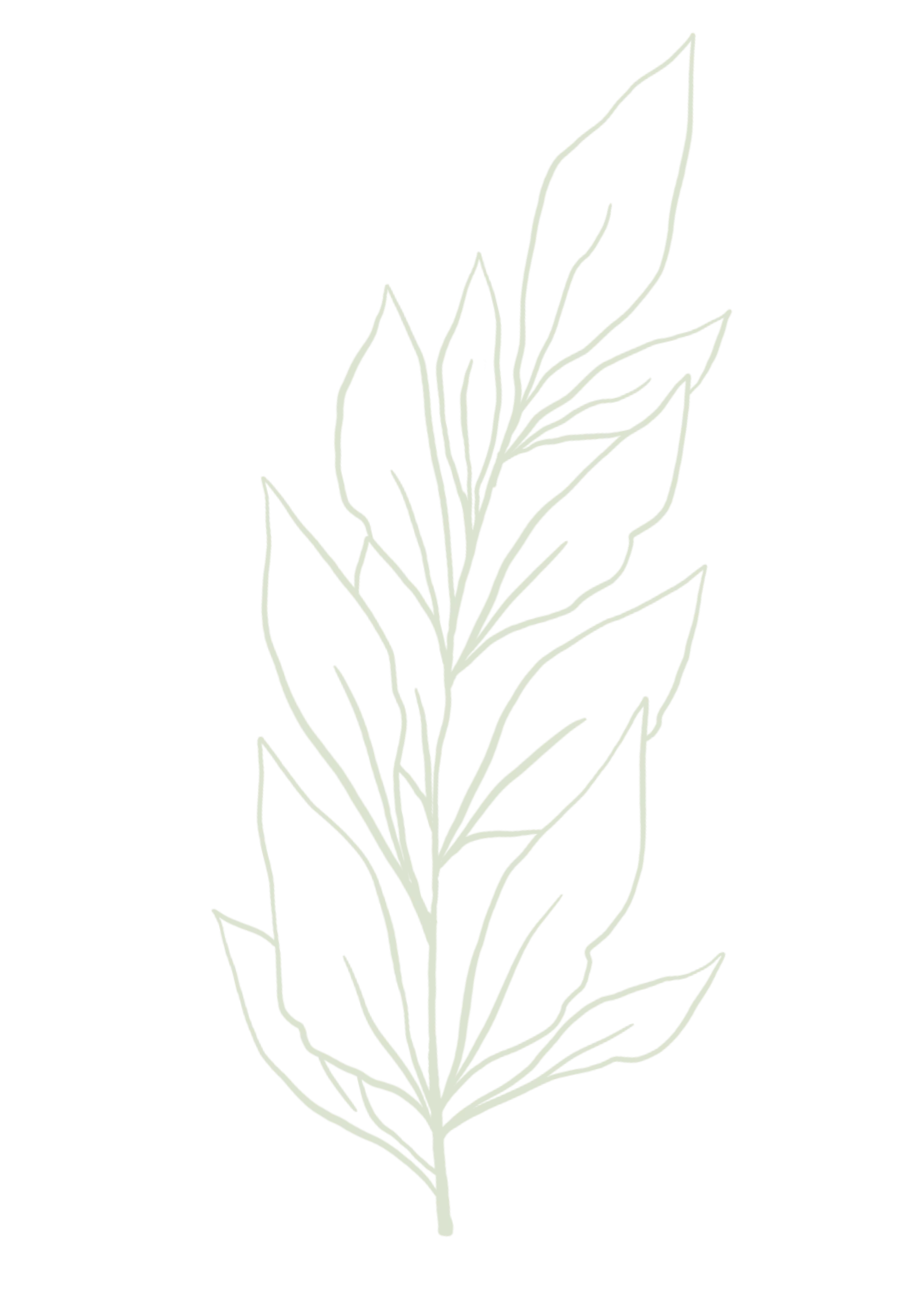 Leaf decoration